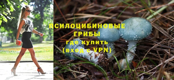 прущая мука Пересвет