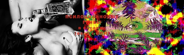 дмт Покачи