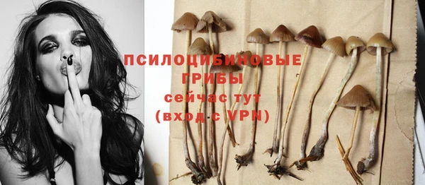 прущая мука Пересвет