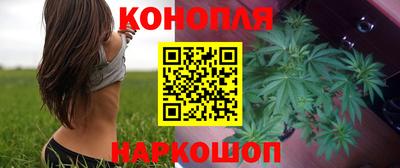 прущие грибы Мариинск