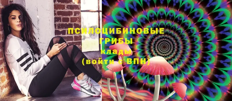 кракен как зайти  Уварово  Галлюциногенные грибы Psilocybine cubensis 