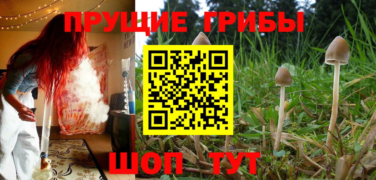 Галлюциногенные грибы GOLDEN TEACHER  Уварово  Галлюциногенные грибы ЛСД 