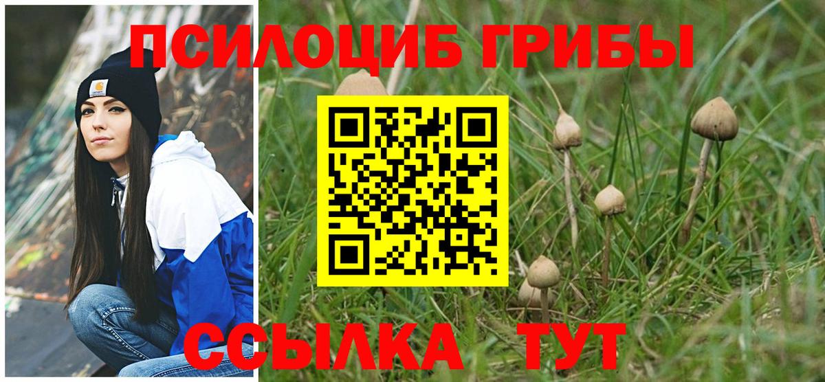 Уварово  Галлюциногенные грибы MAGIC MUSHROOMS  Псилоцибиновые грибы GOLDEN TEACHER  сколько стоит  Вход с VPN 